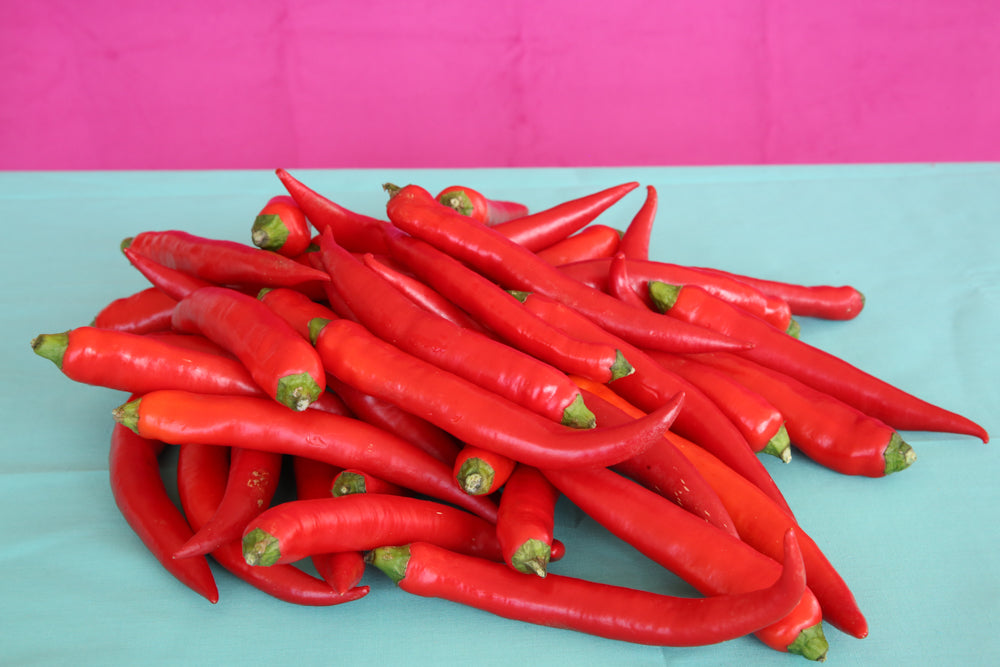 Wicked Hots Fresh Chillies Cayenne Red Bunch