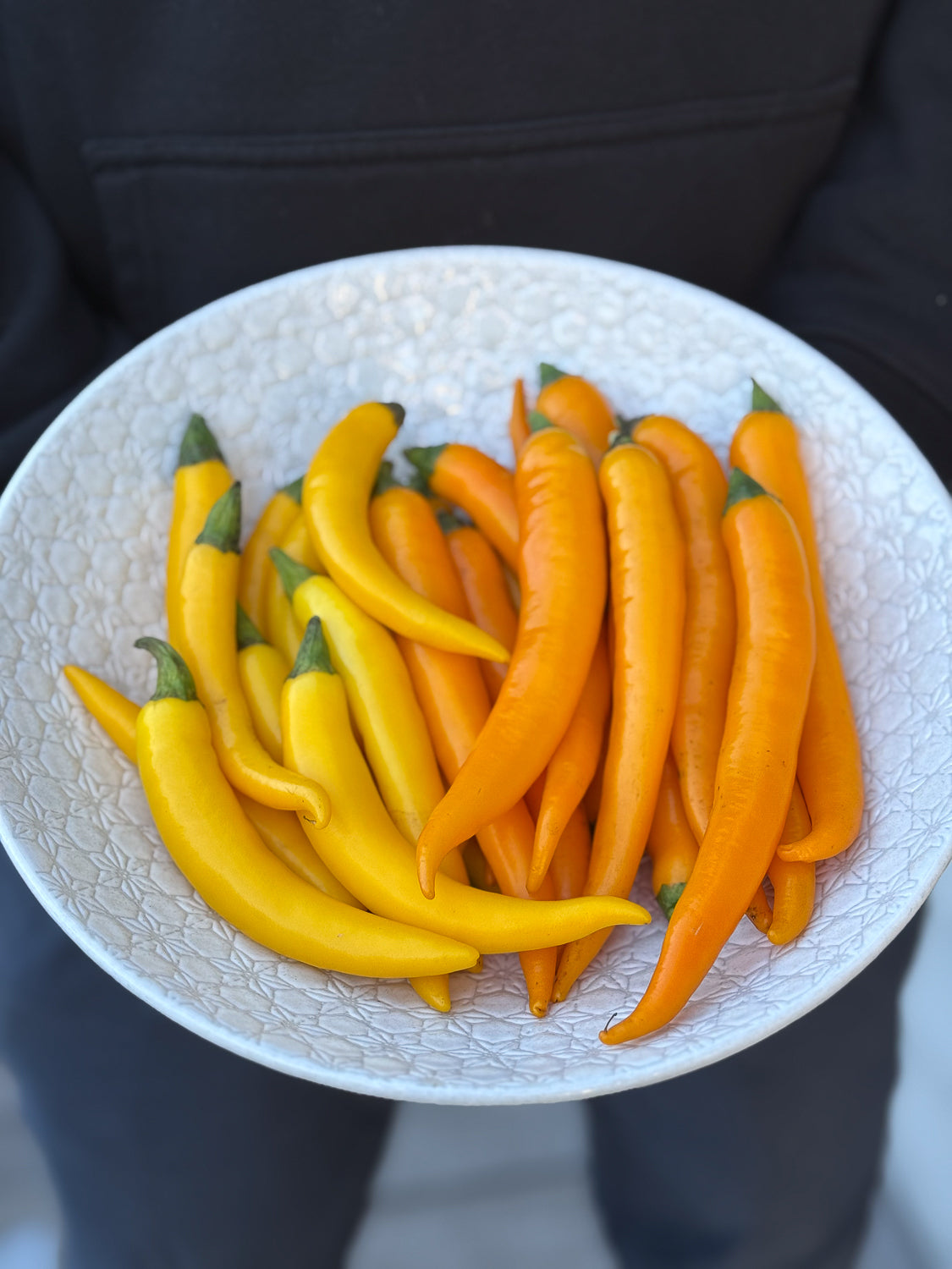 Cayennes Yellow and Orange in Bowl