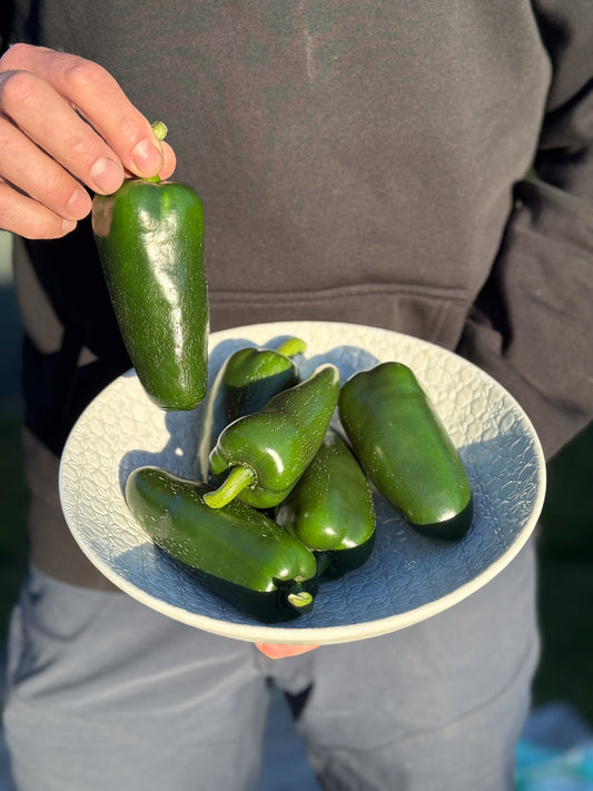 Jalapeños-extra-large-bowl-hand-holding