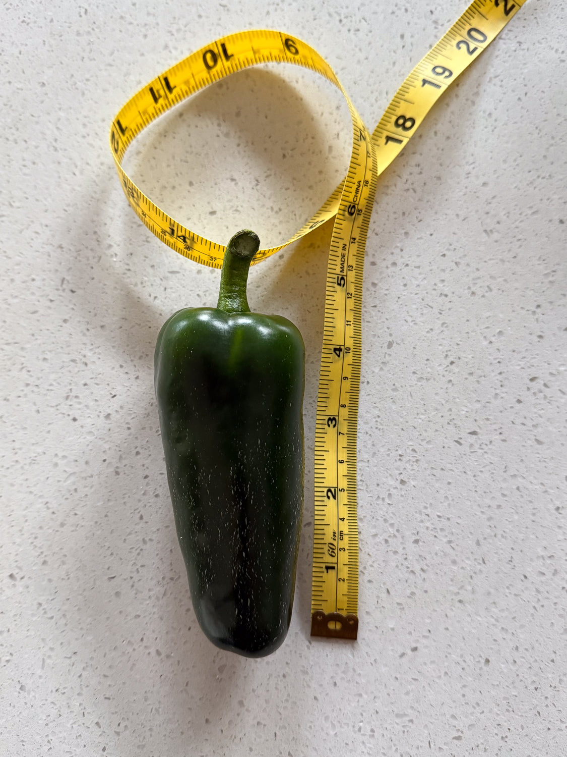 Large Jalapeño with tape measure