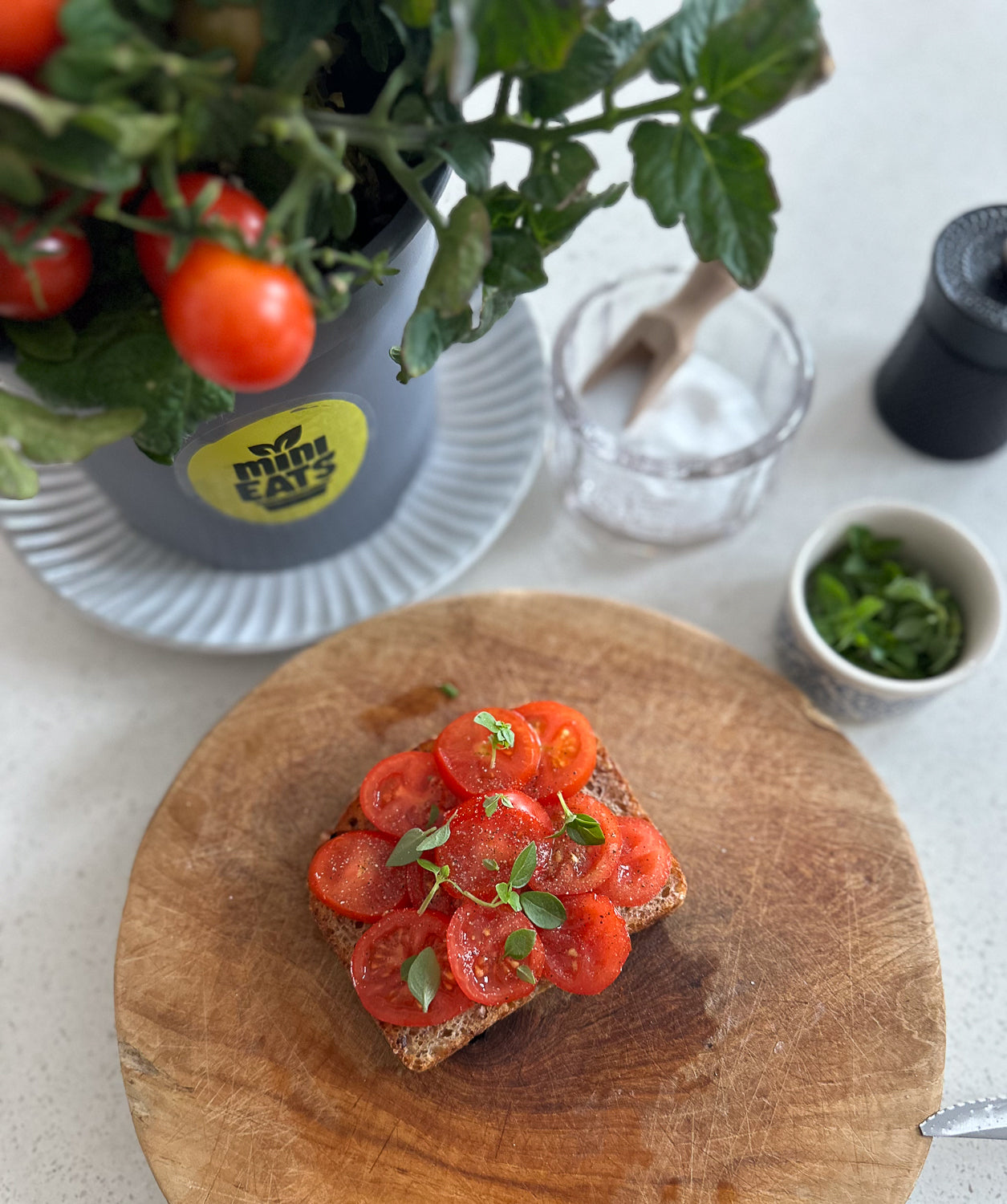 Mini Eats plants with fresh red tomatoes sliced straight onto Vogels toast with basil