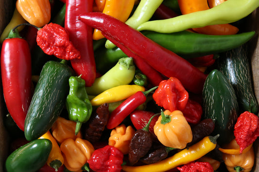 Wicked-Hots Gift Card spicy gift