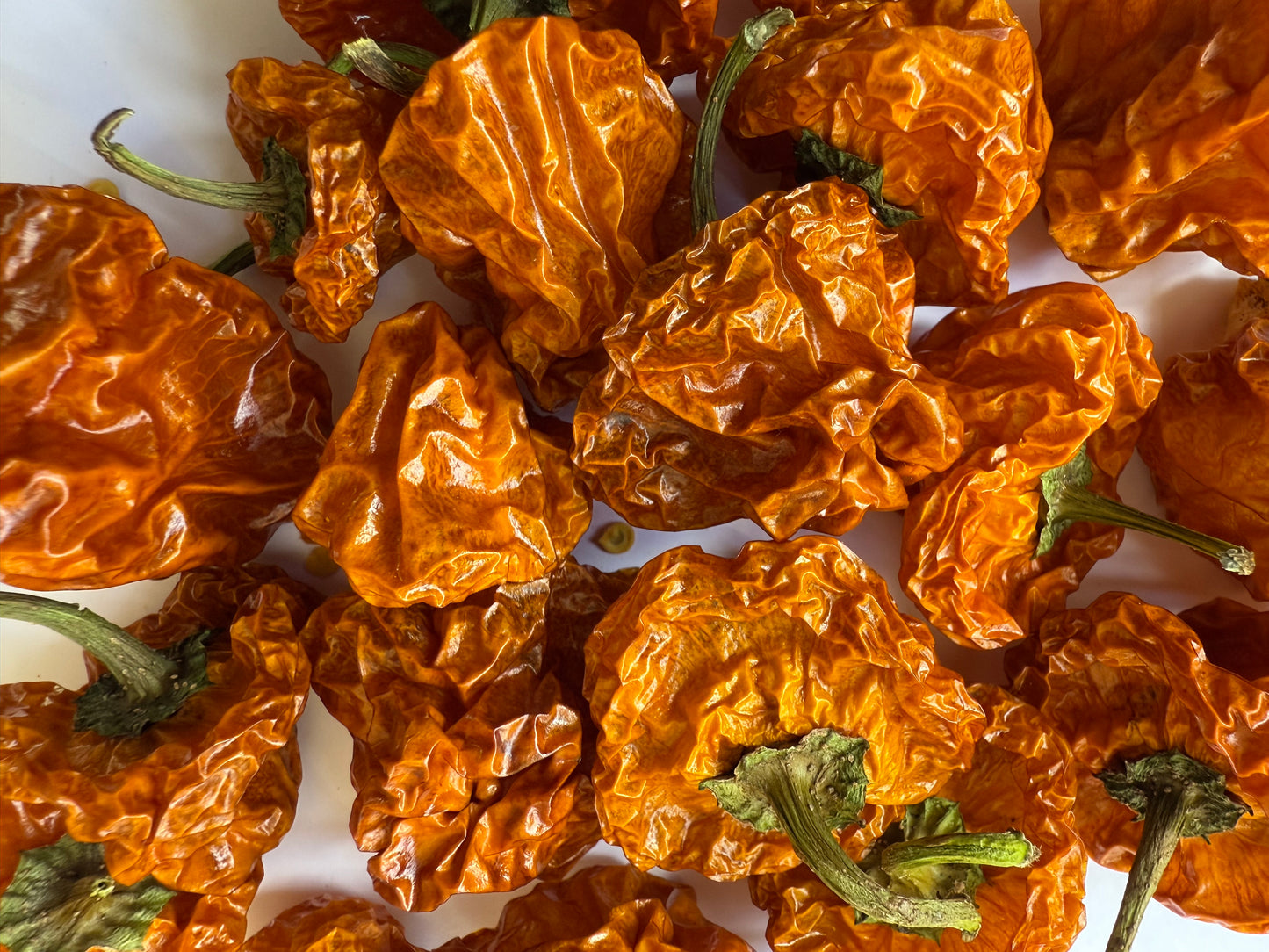 Dried Scotch Bonnets