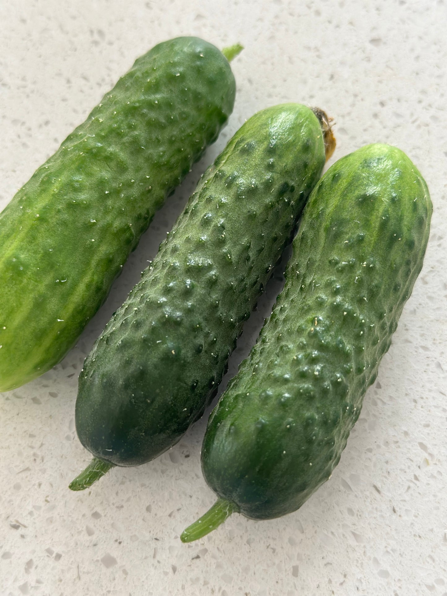 Fresh Pickling Gherkins 500g