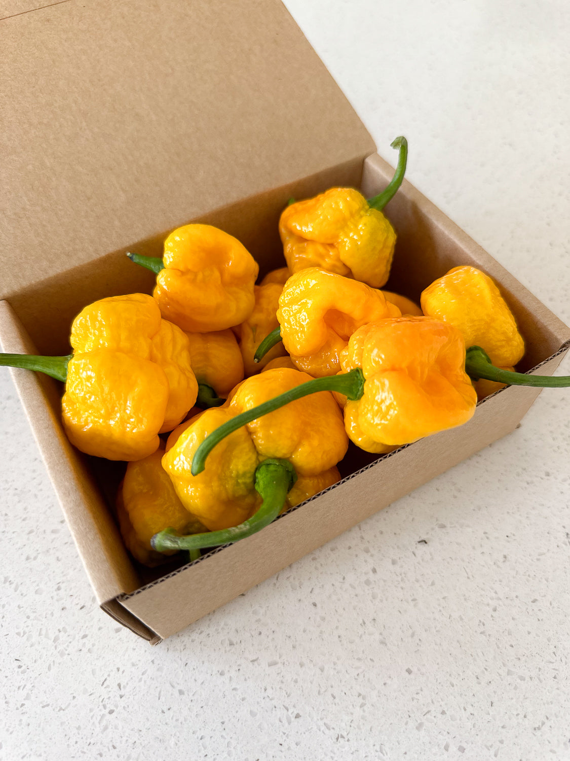 Fresh Carolina Reapers Yellow – Wicked Hots