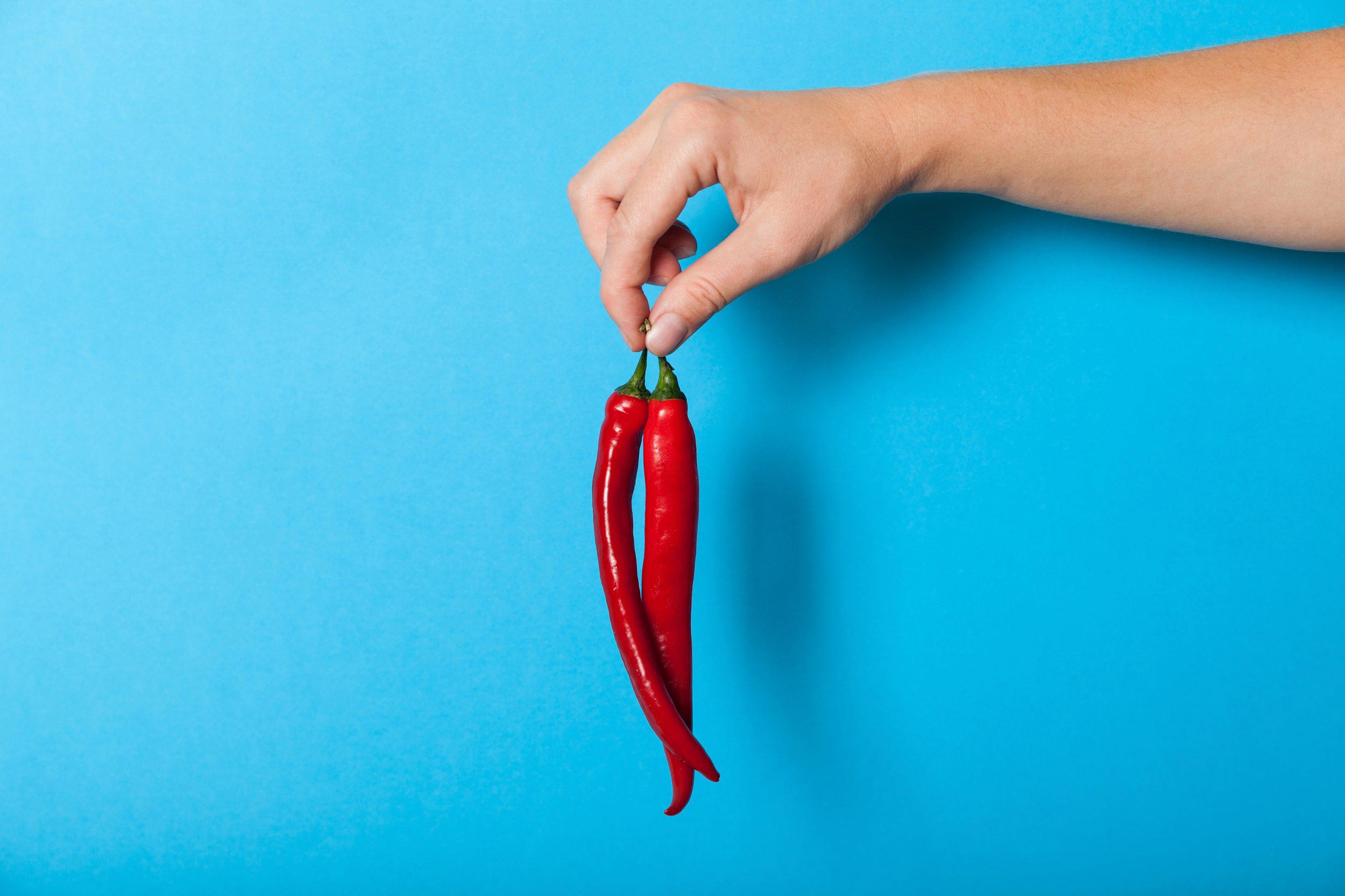 Wicked Hots Chillies Red Cayenne held by stem