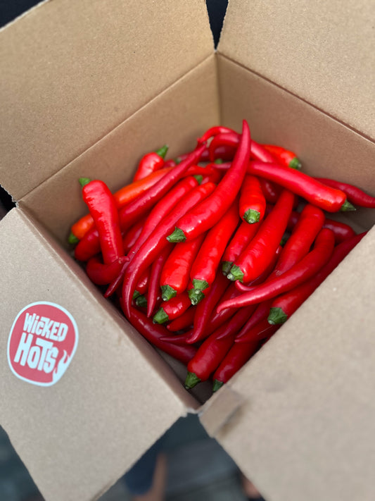 Wicked Hots Fresh Chilies Cayenne Red Box close-up