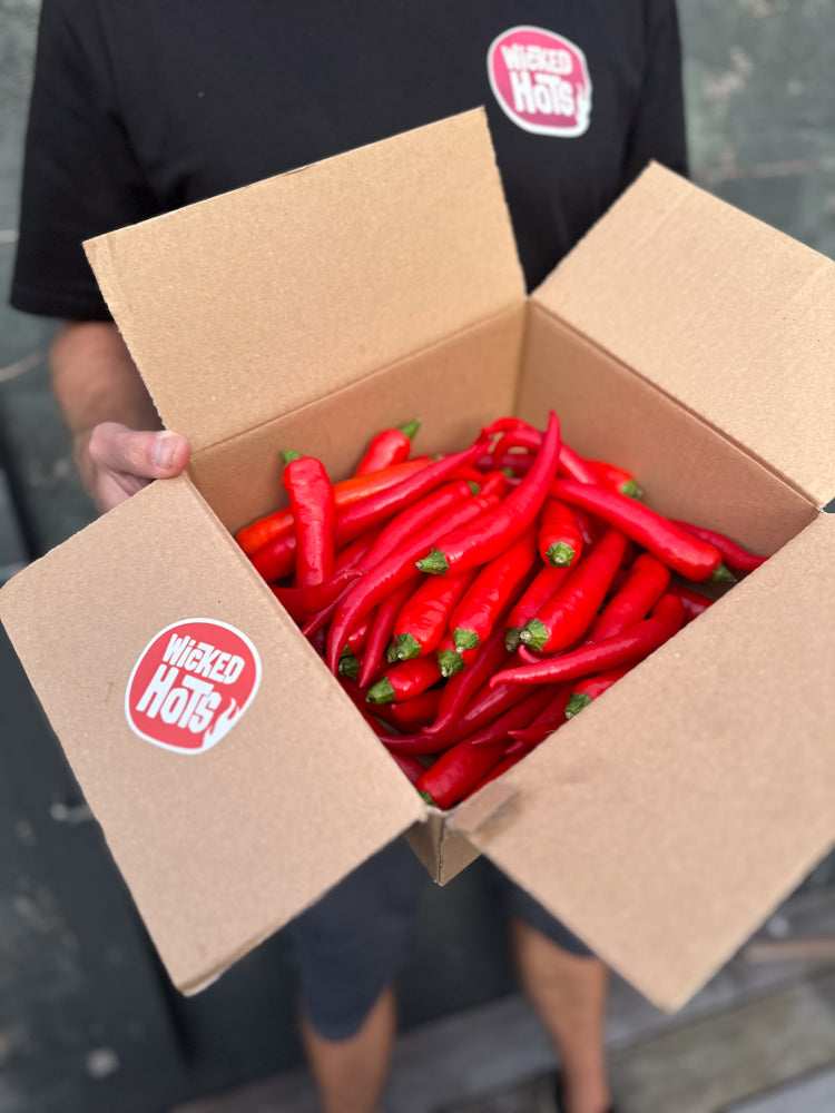 Wicked Hot Fresh Chilies Cayenne Red Box