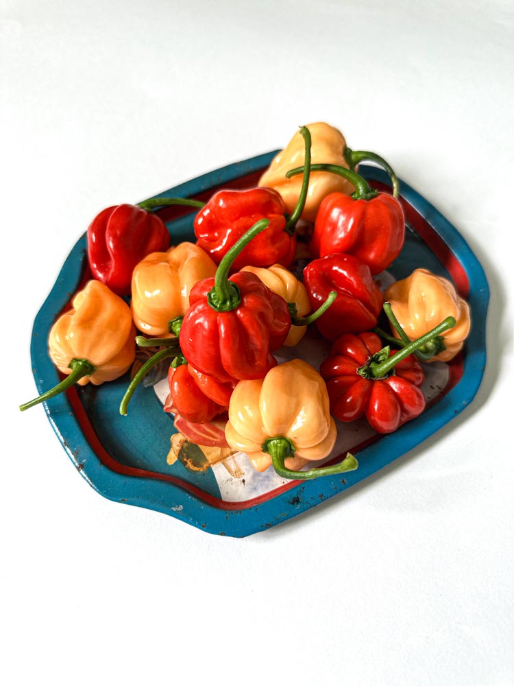 Wicked Hots Fresh Chillies Habaneros Red and Orange