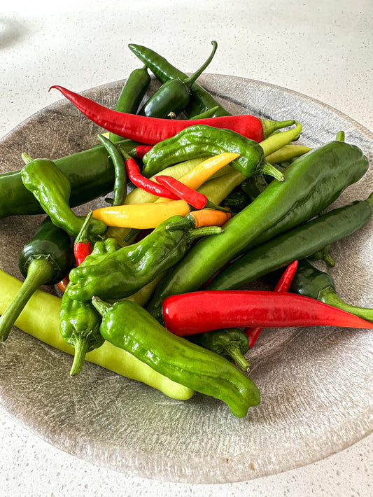 Wicked Hots Fresh Chillies Without Super Hot Bowl