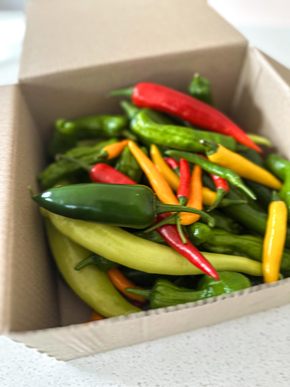 Wicked Hots Fresh Chillies Without Super Hot Box