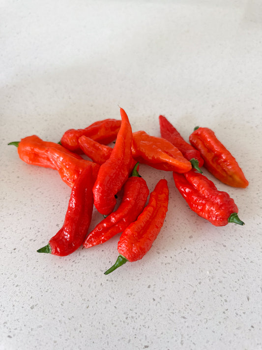 Wicked Hots Wicked-Hots Chillies Red Ghost Peppers on Bench