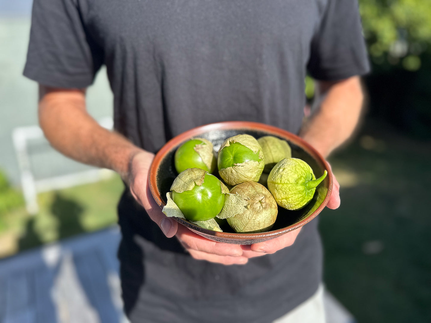 Wicked Hots Fresh Tomatilllos NZ